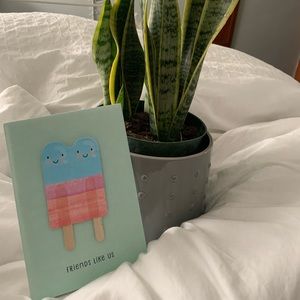 Meet your Posher, Ally